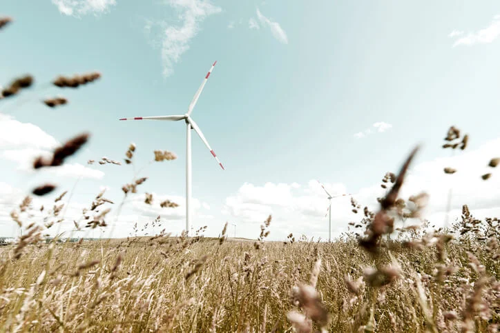 Wind turbines in a landscape as an application for DC/DC converters