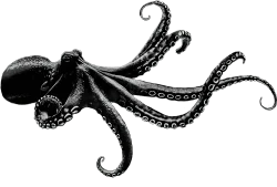 Black Octopus– Demke Electronic GmbH branding – We convert power like an octopus alters its shape