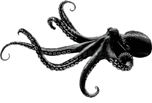 Black Octopus– Demke Electronic GmbH branding – We convert power like an octopus alters its shape
